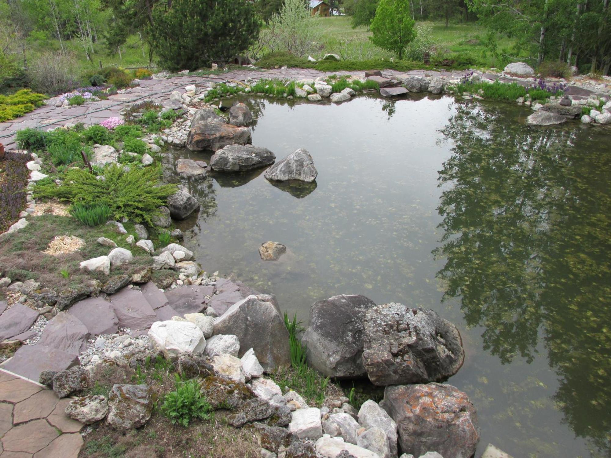 Beard'S Creek Bed And Breakfast Parson 外观 照片